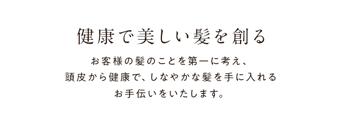 健康で美しい髪を創る